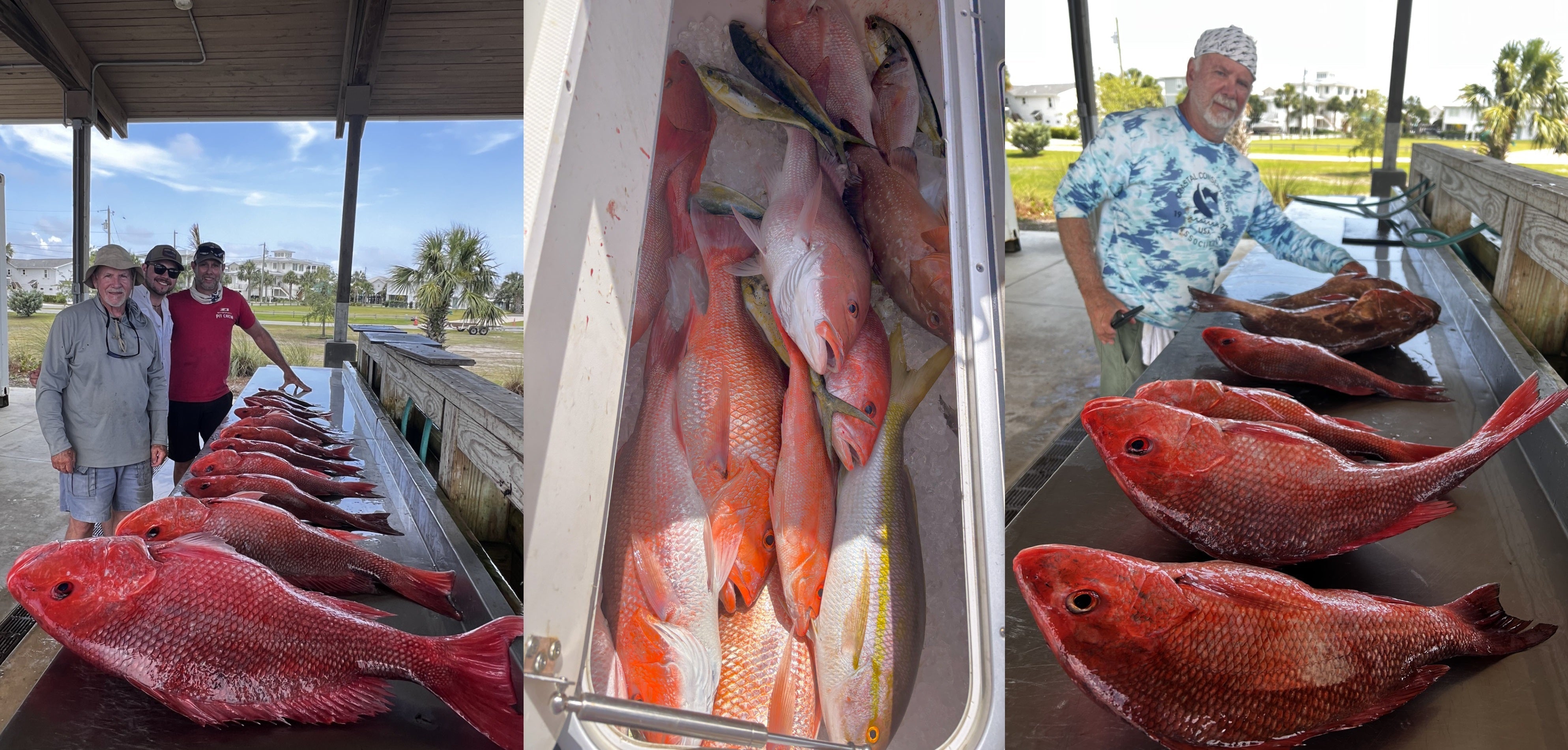 BlueWater Outriggers Fishing Report 6-12-2025