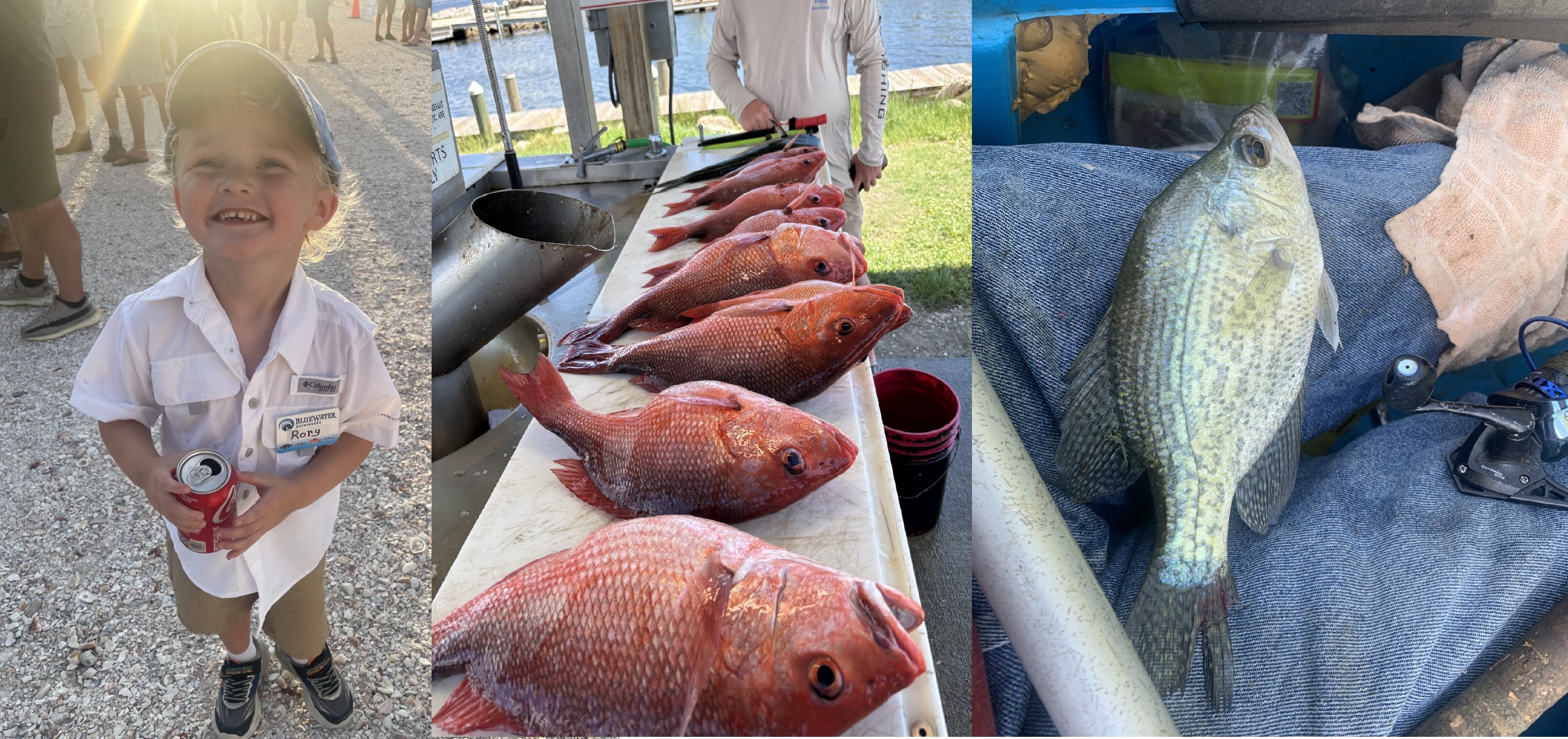BlueWater Outriggers Fishing Report 7-31-2025