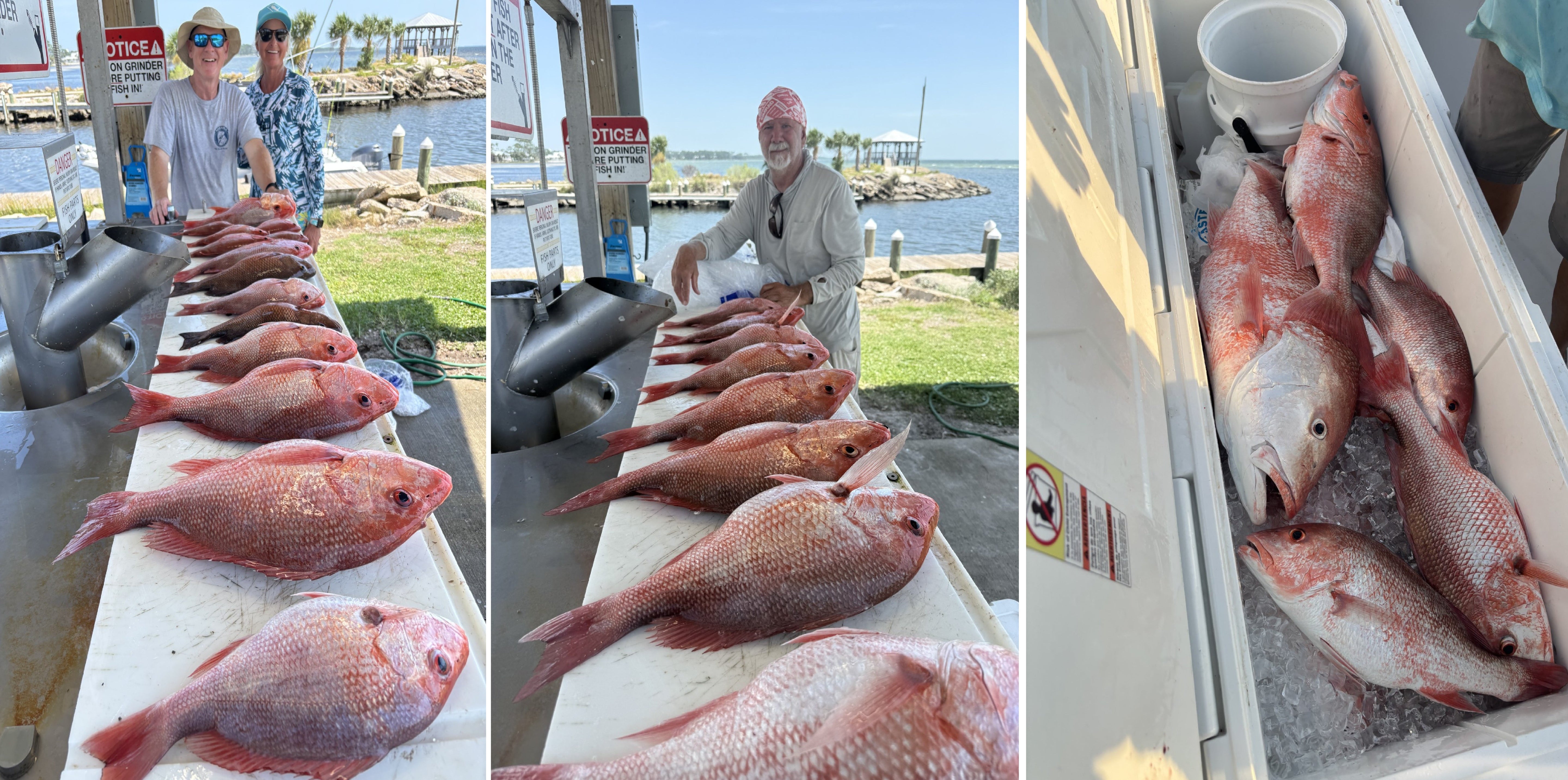Bluewater Outriggers Fishing Report 7-31-2026
