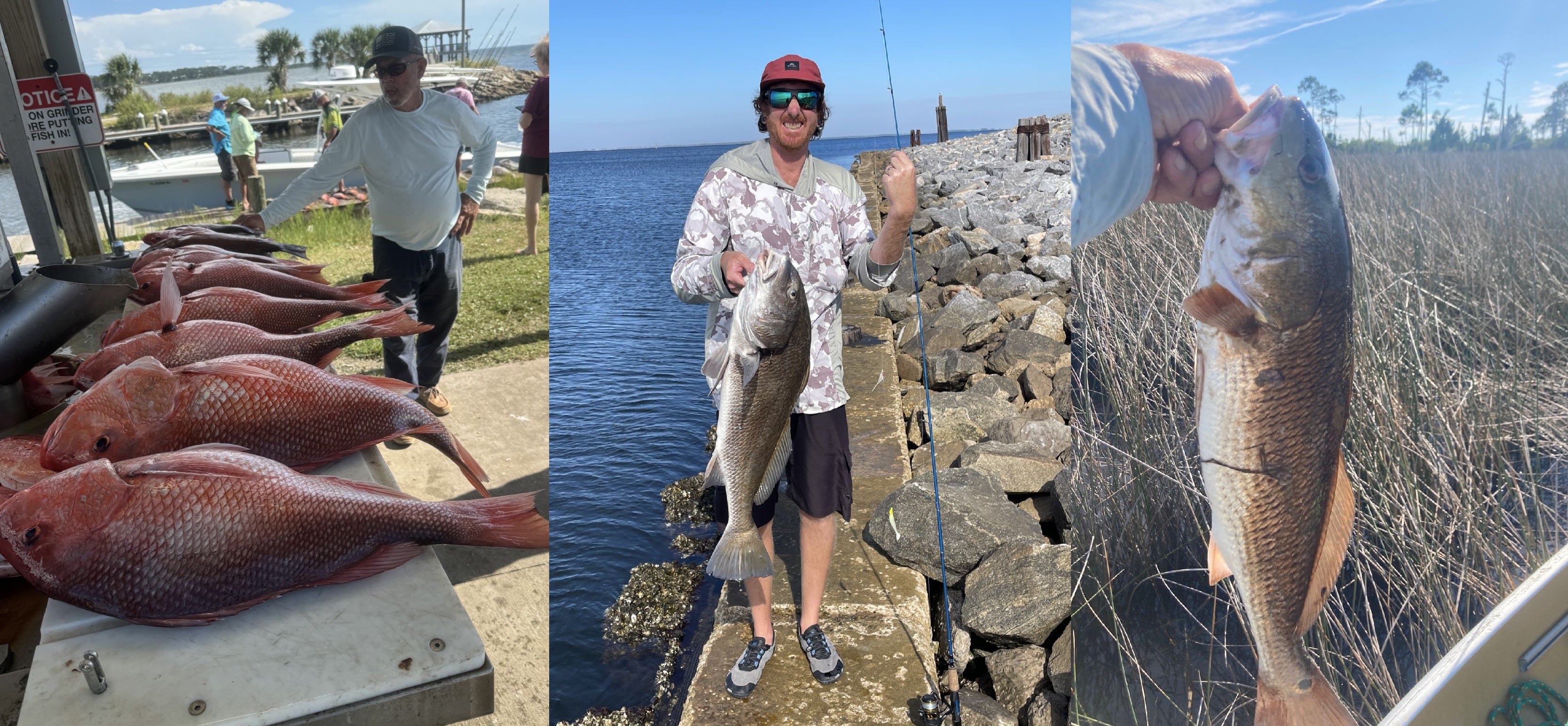 Fishing Report 9-12-2025