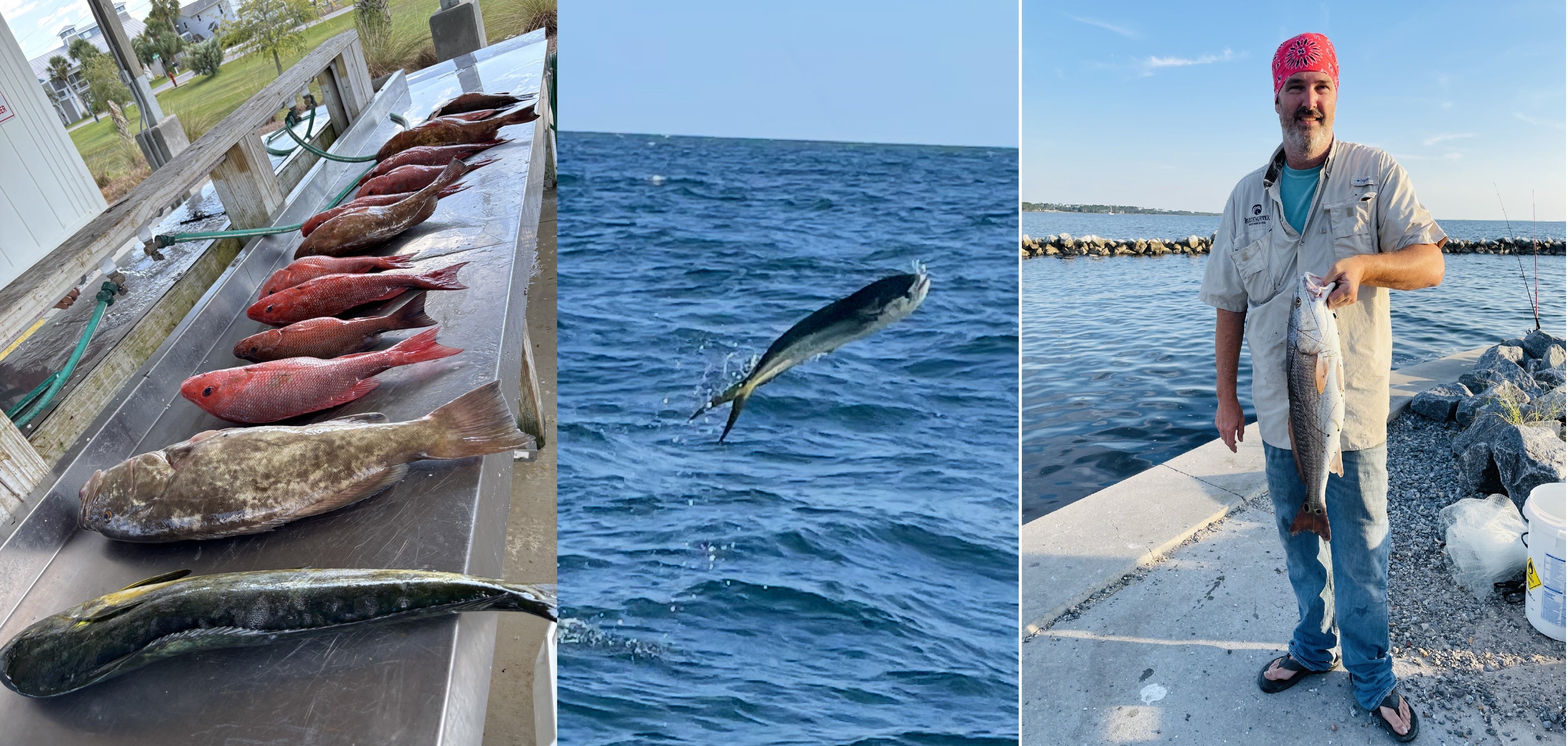 BlueWater Outriggers Fishing Report 9-18-2025