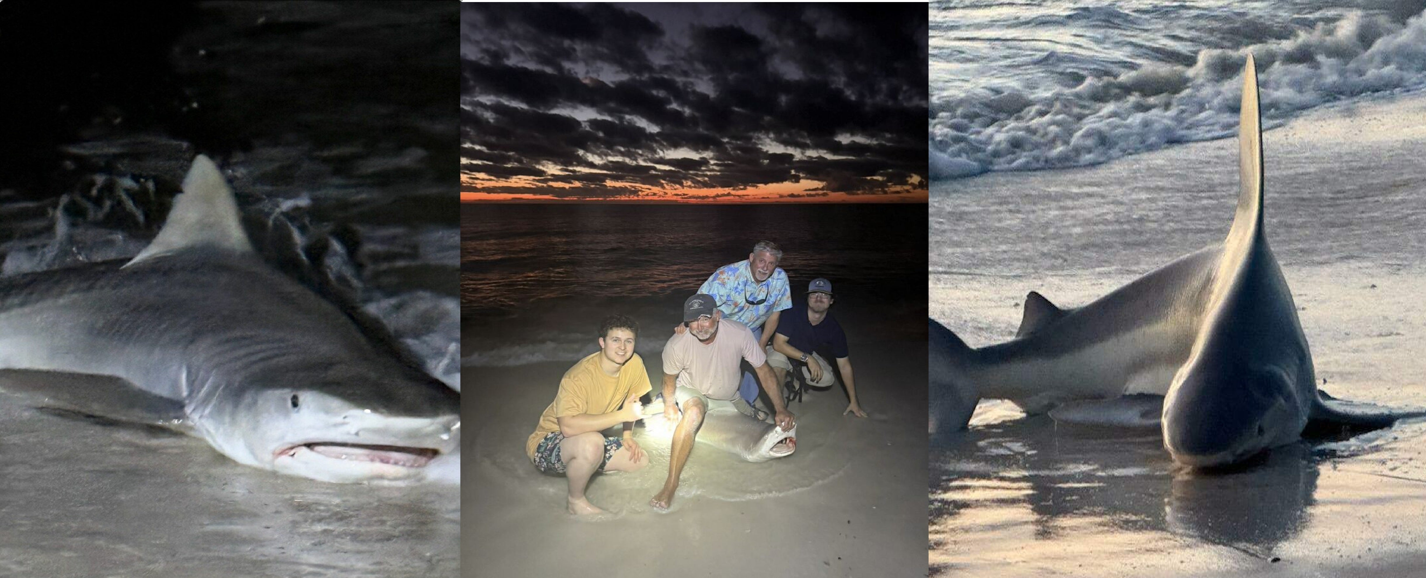 BlueWater Outriggers Fishing Report 1-12-2026