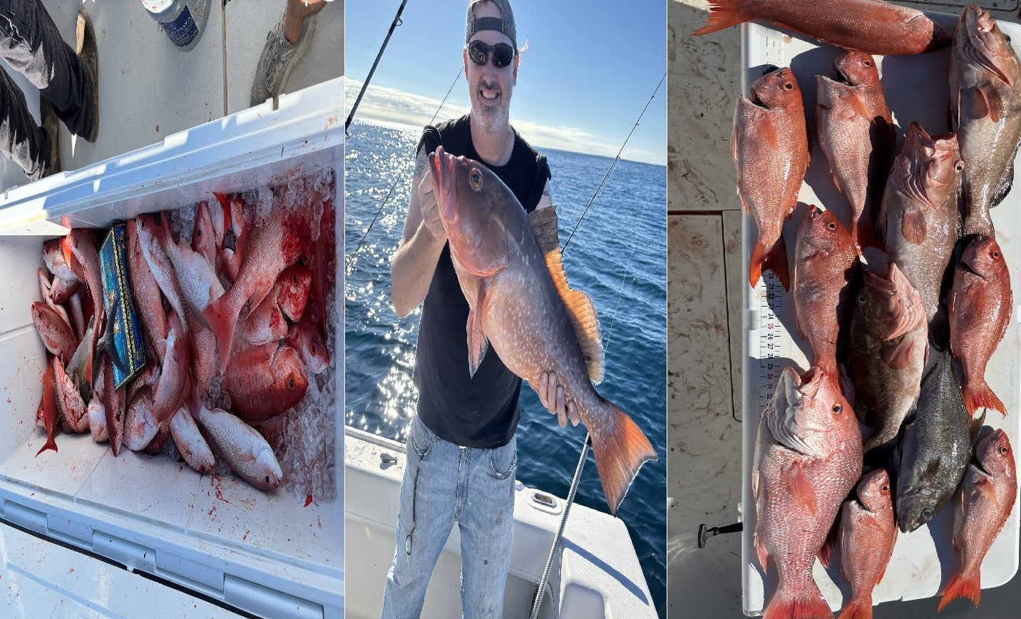 BlueWater Outriggers Fishing Report 12-15-2025