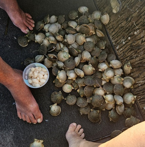 BlueWater Outriggers Fishing Report 8-21-2025