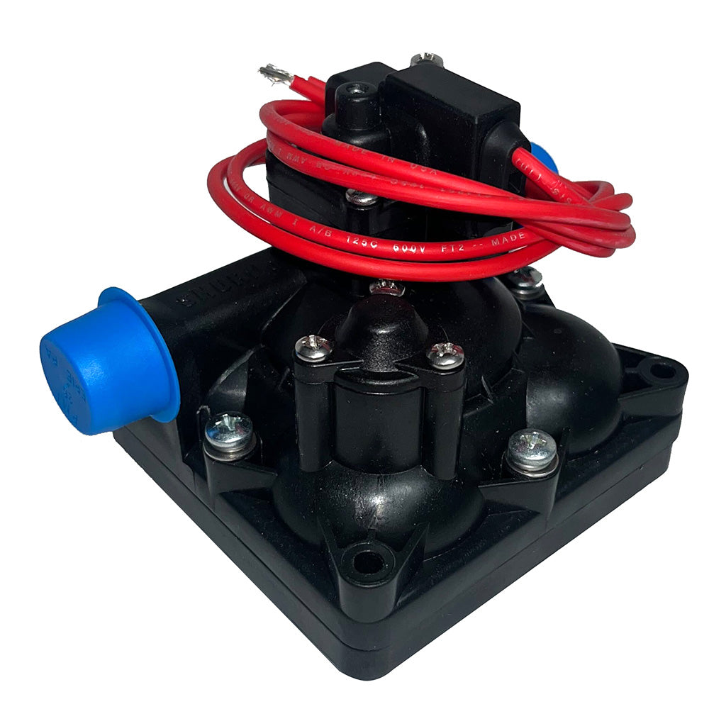 Pentair Pumphead Kit