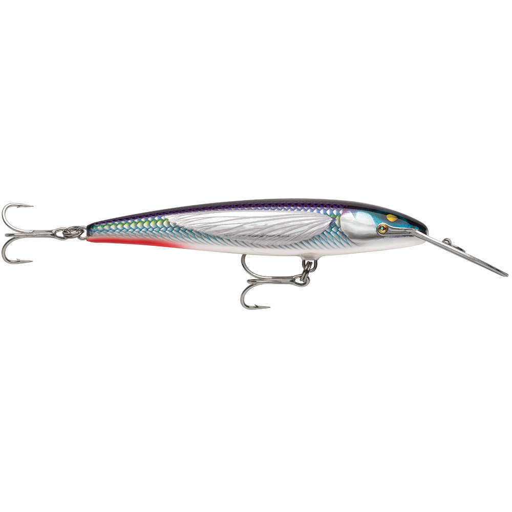 Rapala CountDown Magnum Elite 145 - 5-3/4" - Armored Flying Fish