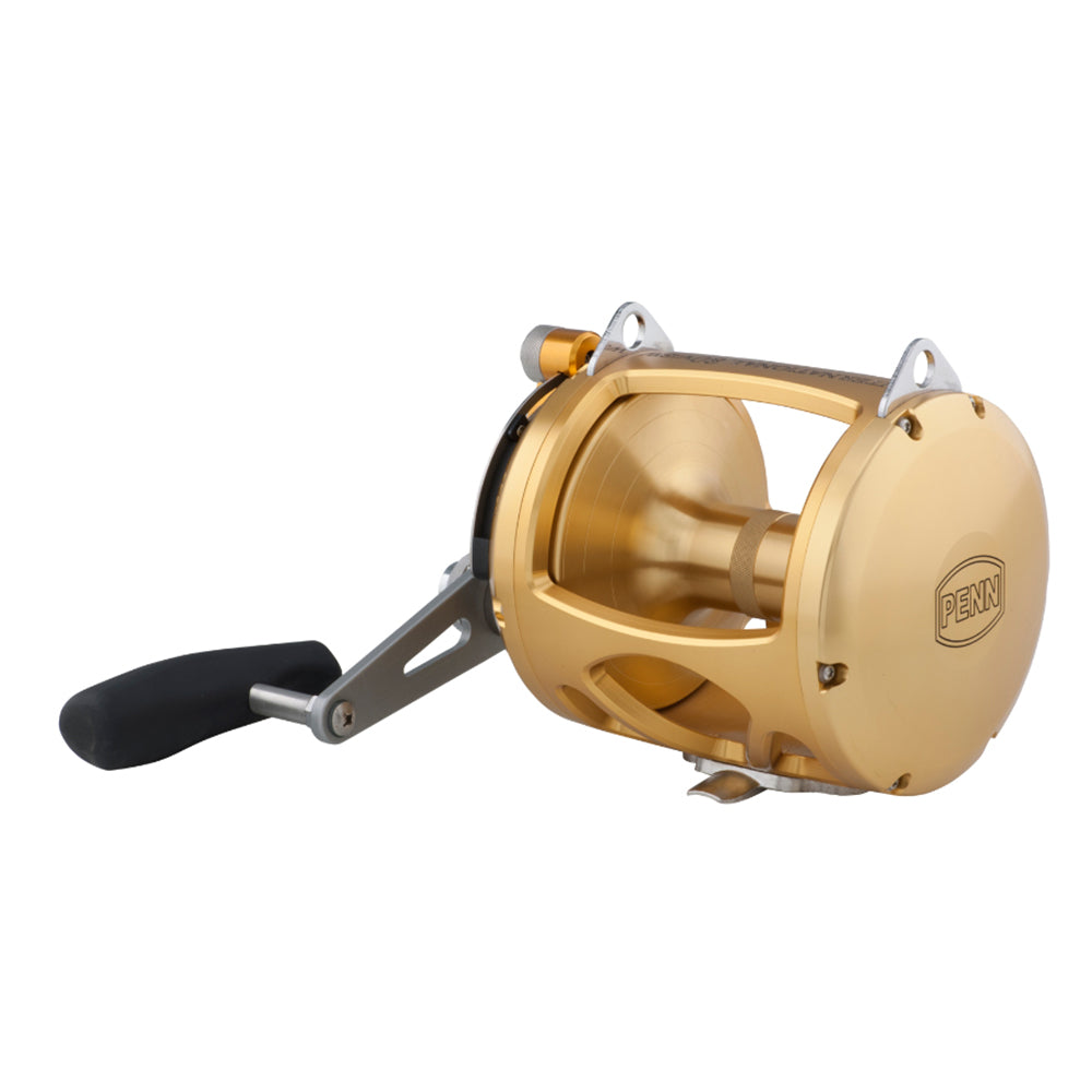 PENN International 80 VISW INT80VISW 2Speed Conventional Reel