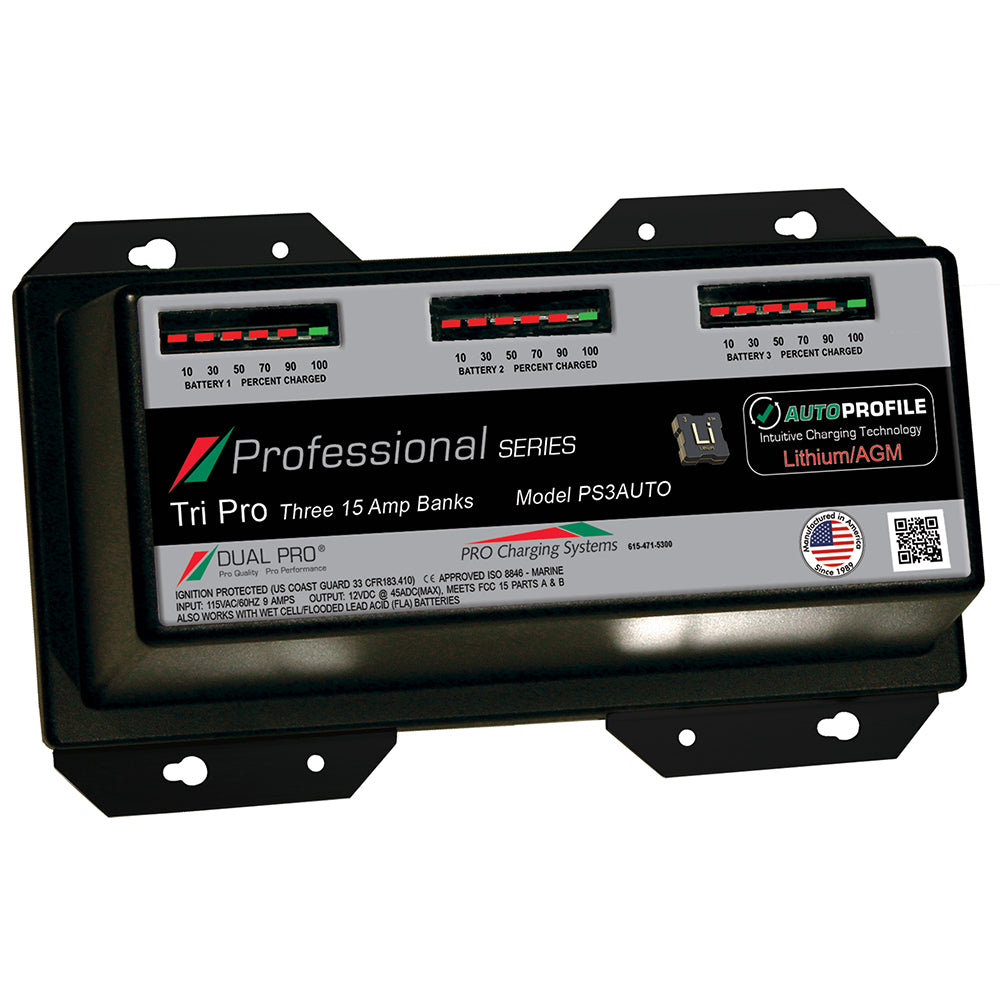 Professional car battery charger sales