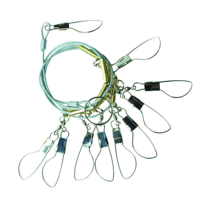 Fish Stringer for Spearfishing with Coated Stainless Steel Cable and Heavy  Duty Carabiner