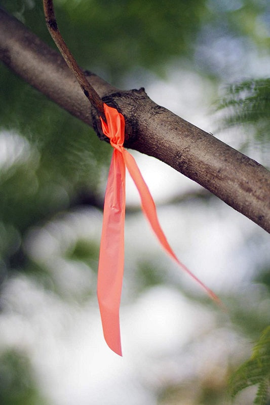 SE Survivor Series Marking Ribbons ESF2037-2