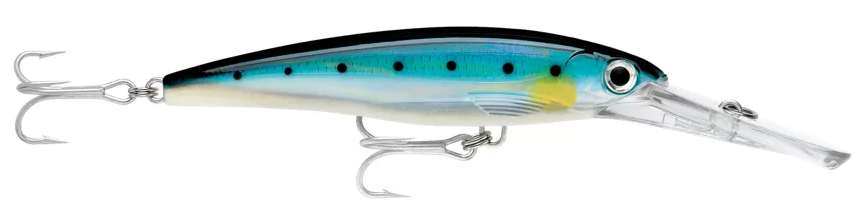 Rapala Saltwater X-Rap Magnum 40 Blue Sardine