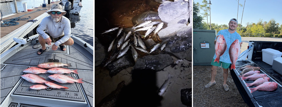 Bluewater Outriggers Fishing Report 10-24-2026