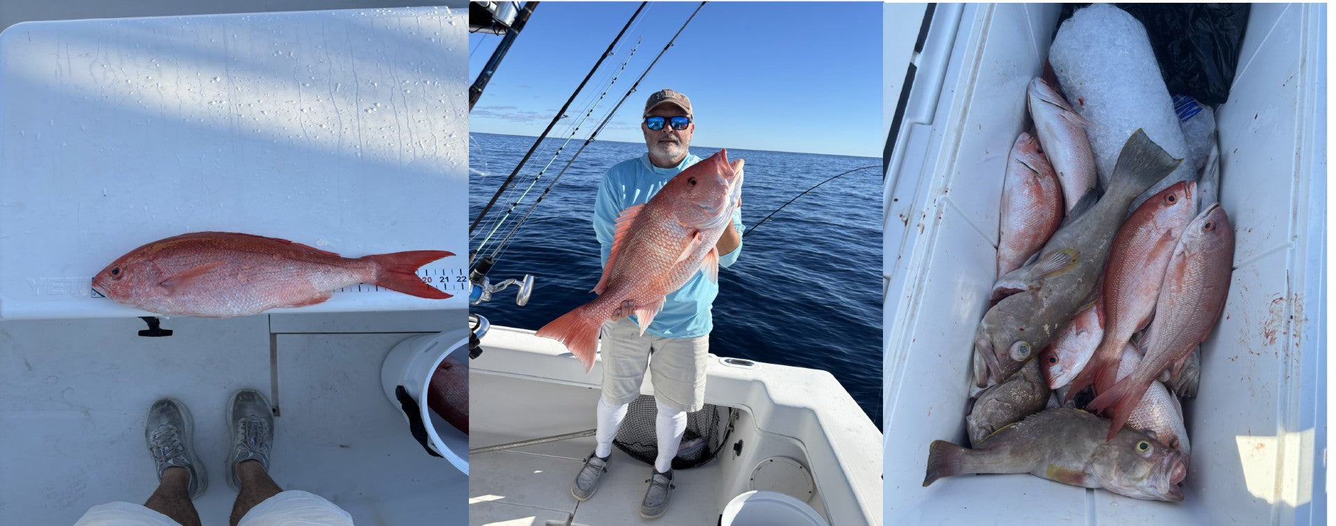 BlueWater Outriggers Fishing Report 11-14-2025