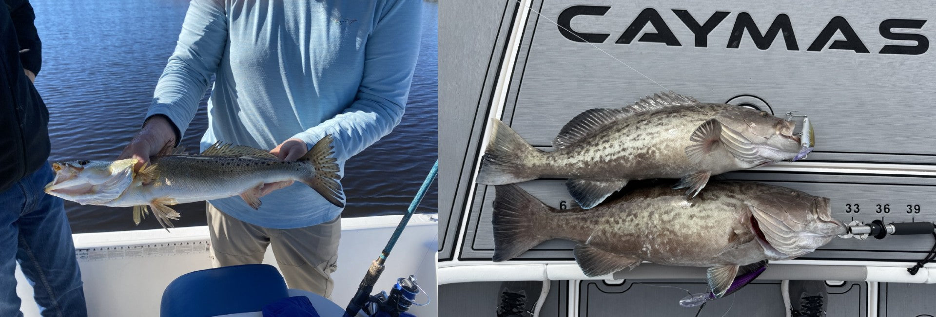 BlueWater Outriggers Fishing Report