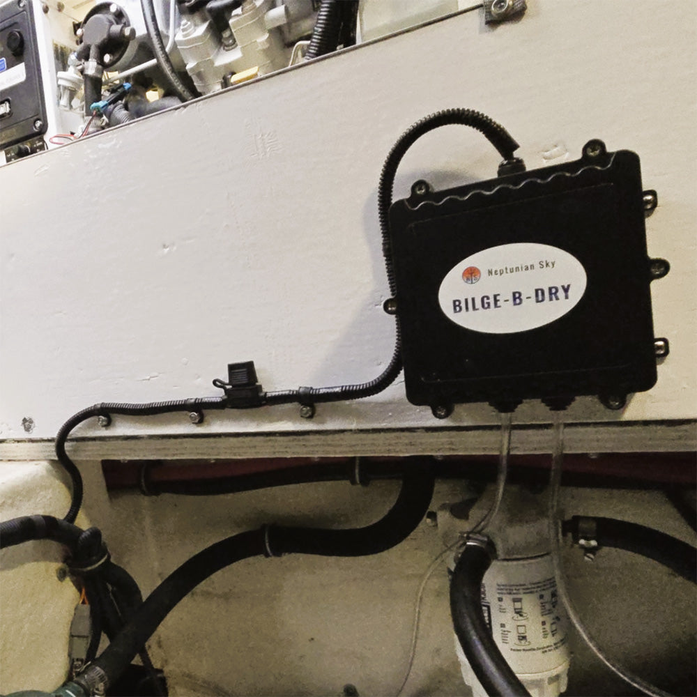 BILGE-B-DRY Single Pump 