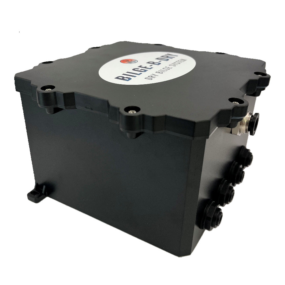 BILGE-B-DRY Quad Pump 12VD