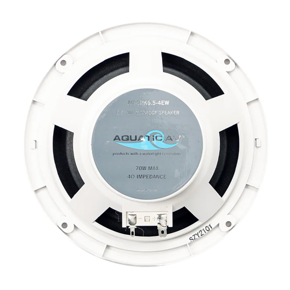 Aquatic AV 65 Economy Speakers