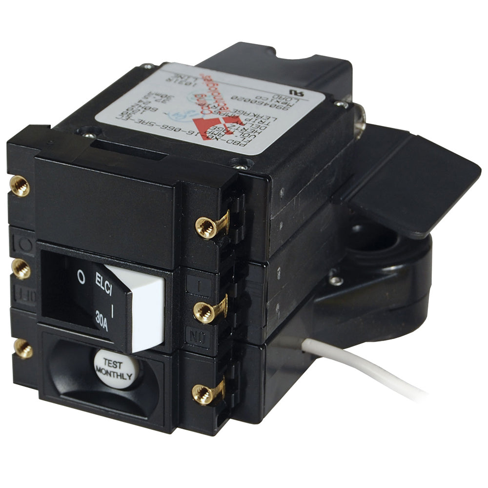 Blue Sea ASeries ELCI Main Circuit Breaker  Double Pole 120V 