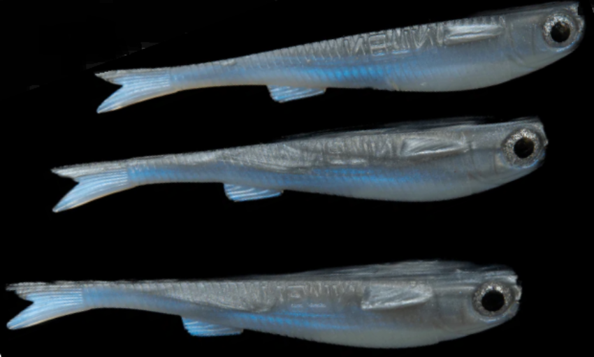 NLBN 5" Lil Mullet 3pk Fresh Mullet
