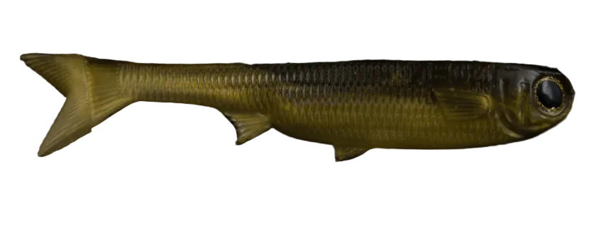 NLBN 9" K-Tails Bait Fish Kalcutta
