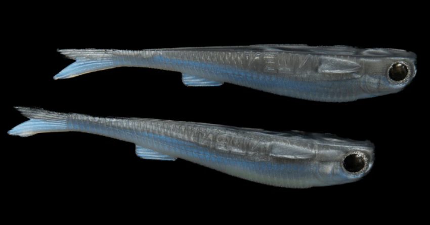 NLBN Big Mullet 7" 2pk Fresh Mullet