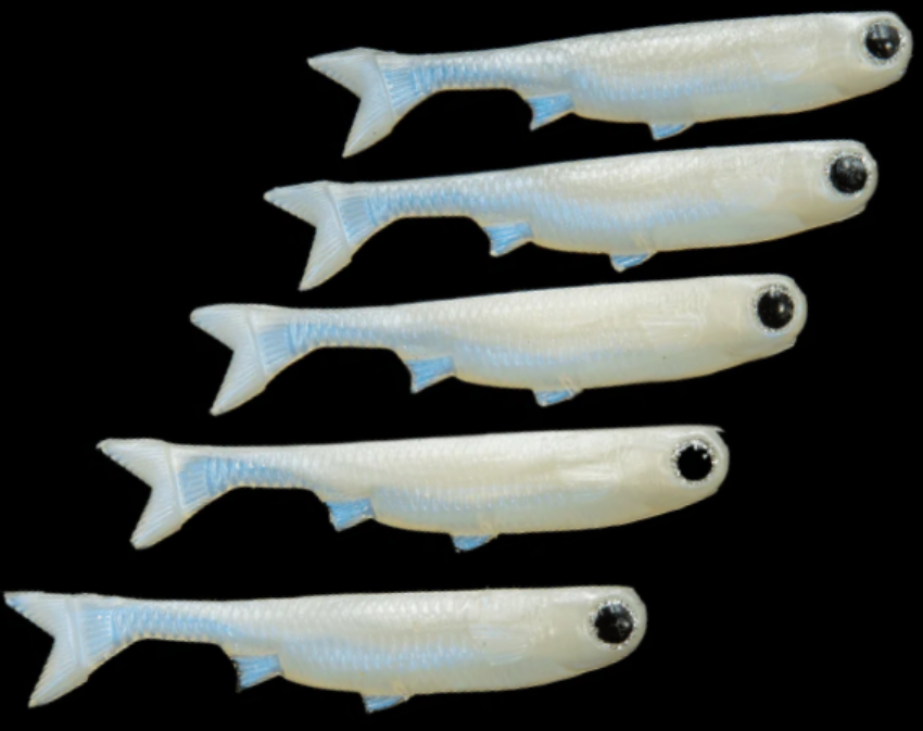 NLBN K-Tails 4" 5pk Snowbird