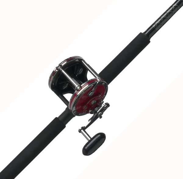 Penn Special Senator Star Drag Conventional Rod and Reel Combo 113H2