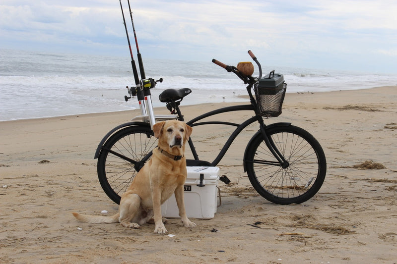 Bike Fishing Rod Holder-Fishing Rods are Securely Attached to The Bike -  Safe and Secure - Easy to Mount，Rod Rack for Bicycle Fishing