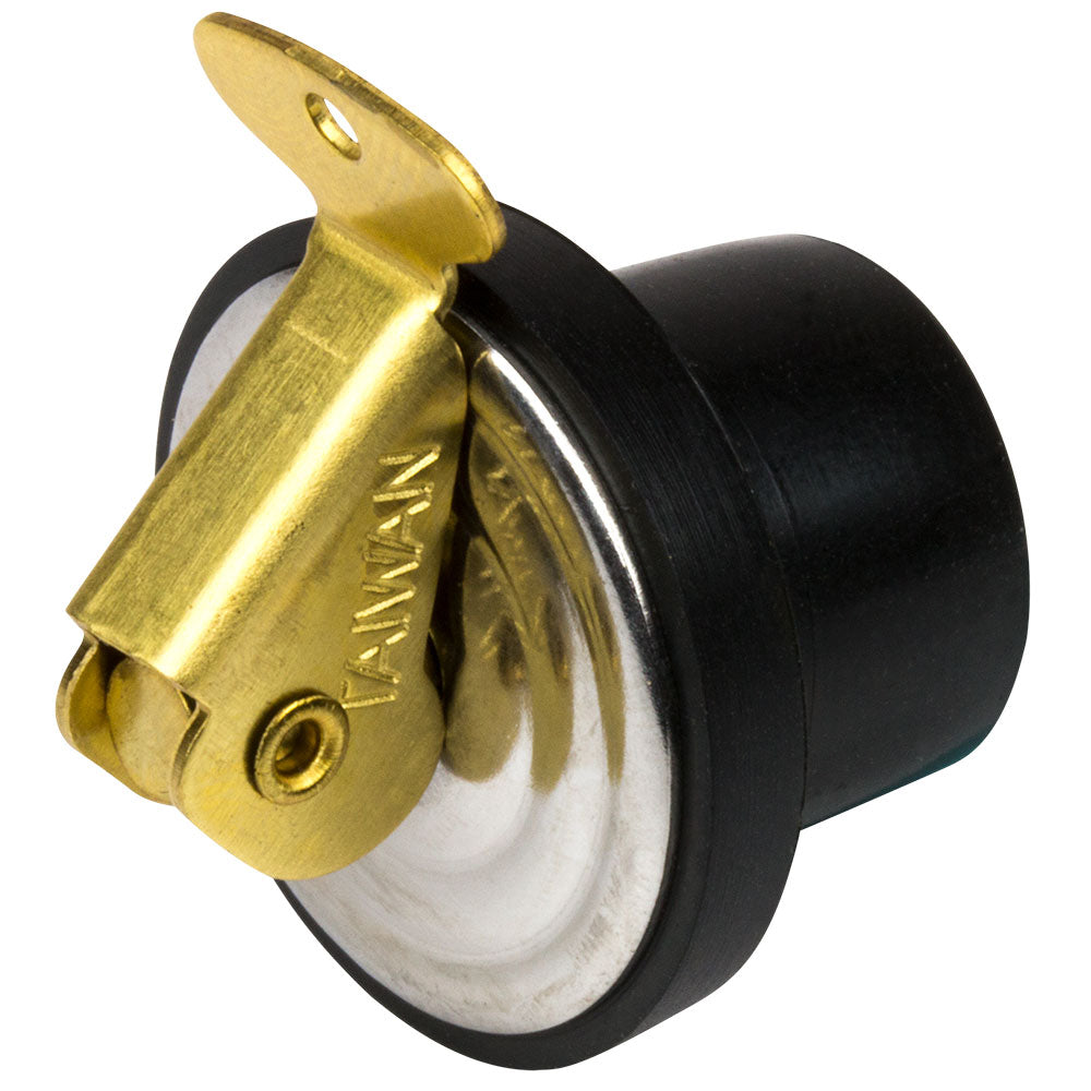 Brass Baitwell Plug