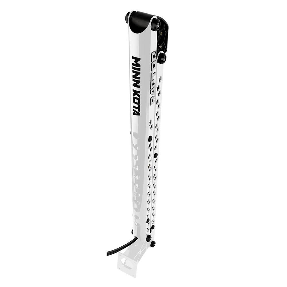 Minn Kota Raptor 8 Shallow Water Anchor