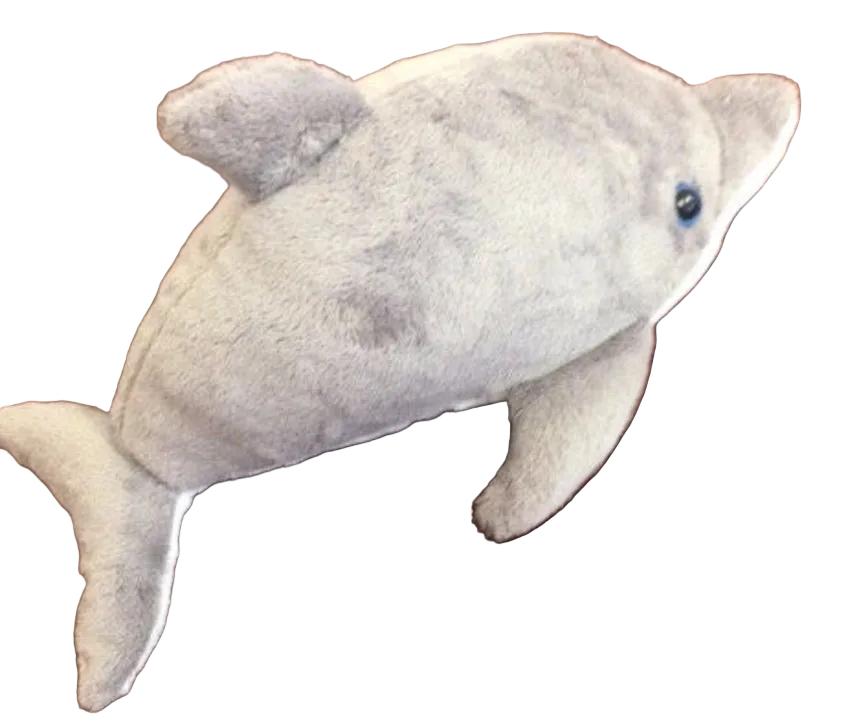 Port St. Joe Dolphin