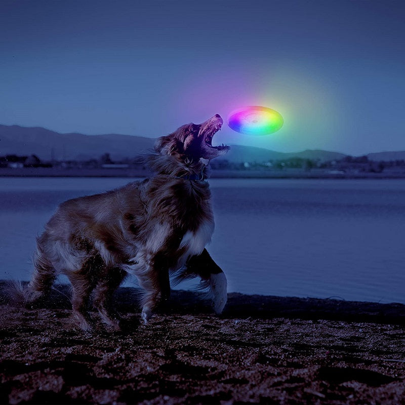 Nite Ize Dog Biscuit LED Flying Disc for Pets DISC-O