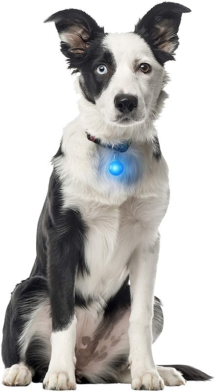 Nite Ize SpotLit Blue Collar Light PSLG03-02-R6