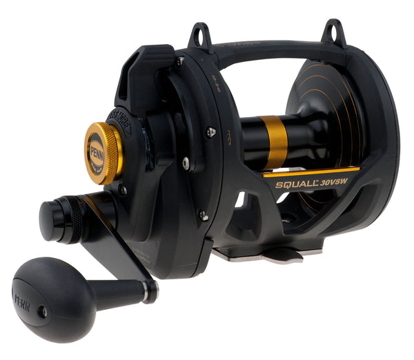 Penn Squall Lever Drag 2-Speed SQL30VSW