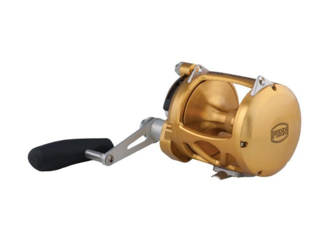 ebay deck winch fishing reels Penn International VISW Conventional Reel