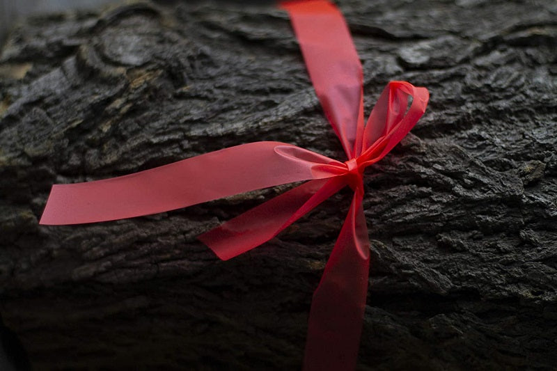 SE Survivor Series Marking Ribbons ESF2037-2