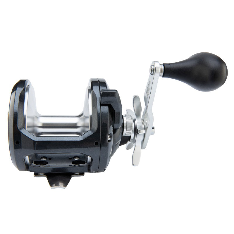 Shimano Torium 40HG Conventional Reel TOR40HGA