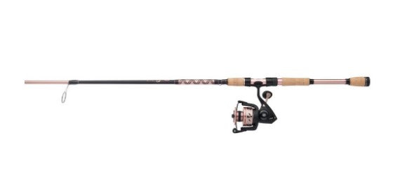Penn Passion II Spinning Combo