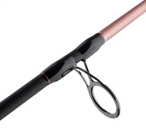 Penn Passion II Spinning Combo